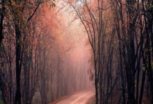 PG中国官网-阿坎吉状态火热，几内亚能否借力掀翻贝蒂斯？